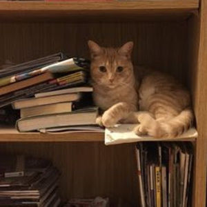 Meet your Posher, Ava